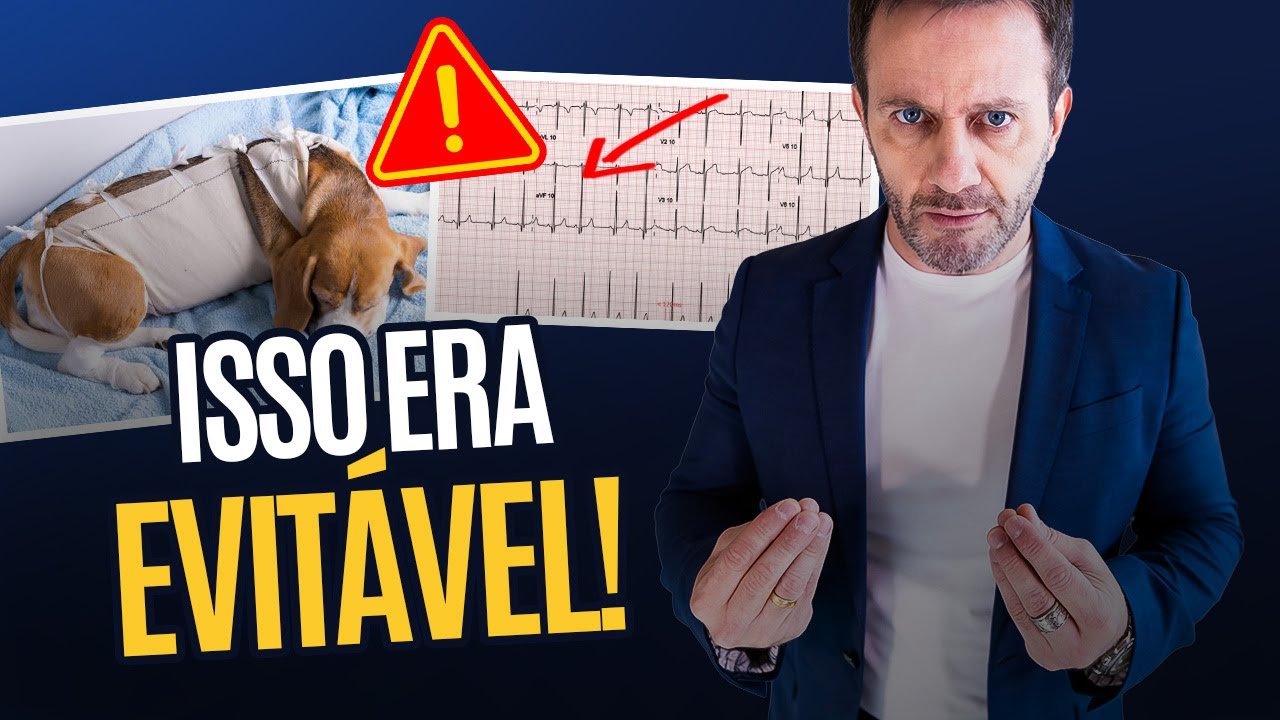Descompensações Cardíacas Anunciadas: 3 Casos Que Todo Vet Precisa Conhecer