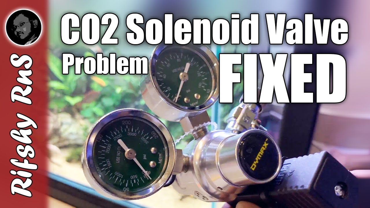CO2 Solenoid Valve Not Turning Off | HOW TO Clean and Maintain a CO2 Solenoid Valve