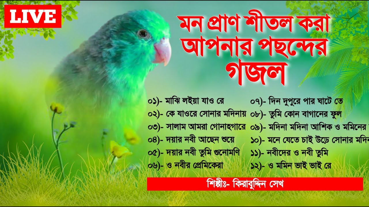 🔴 Live Gojol | ঘুমানোর আগে গজল গুলি শুনুন মনে শান্তি আসবে | মন প্রাণ শীতল করা পছন্দের গজল