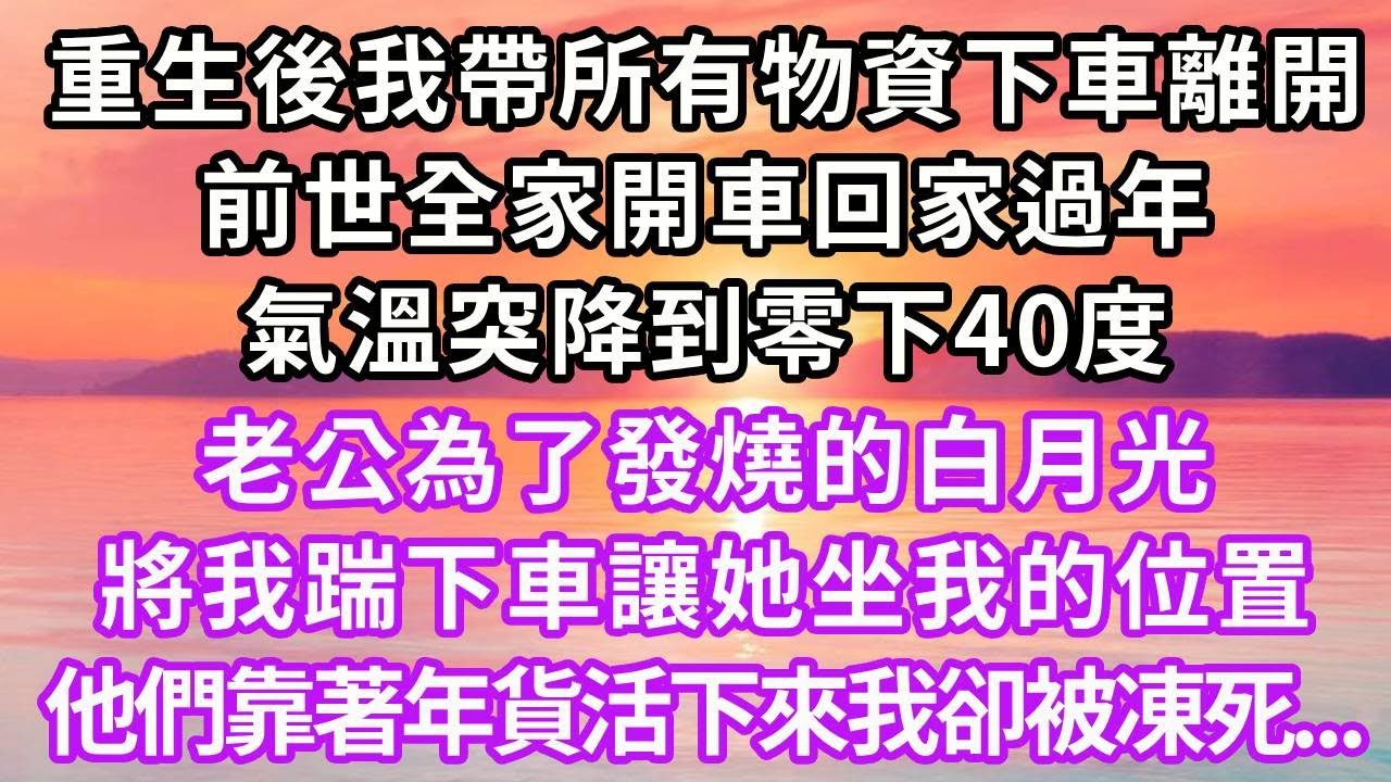 重生後我帶著所有物資下車離開，前世全家開車回家過年，氣溫突降到零下40度，老公為了發燒的白月光，將我踹下車讓她坐我的位置，他們靠著年貨活下來我卻被凍死...#重生 #大女主 #情感 #爽文 #復仇