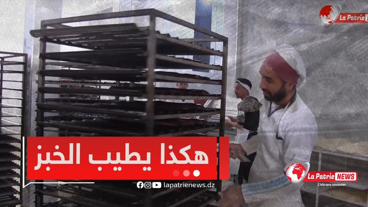 #روبورتاج 🎥مهن رمضان من مخبزة خبز السميد والبريوش والسينوج والبيض🥖🍞 لهم نكهة خاصة في شهر رمضان🌙