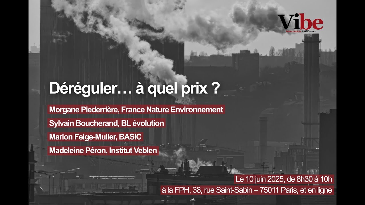 Vibe #3 Déréguler... à quel prix ?