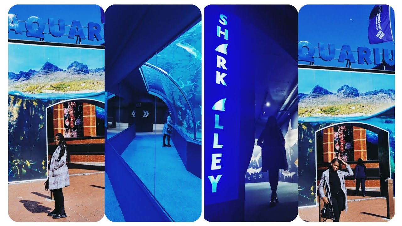 The Two Oceans Aquarium in Capetown Southafrica  #aquarium #ugandanyoutuber