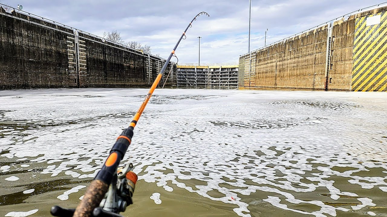 Live Bait Fishing INSIDE A LOCK AND DAM!! (Catch and Cook)
