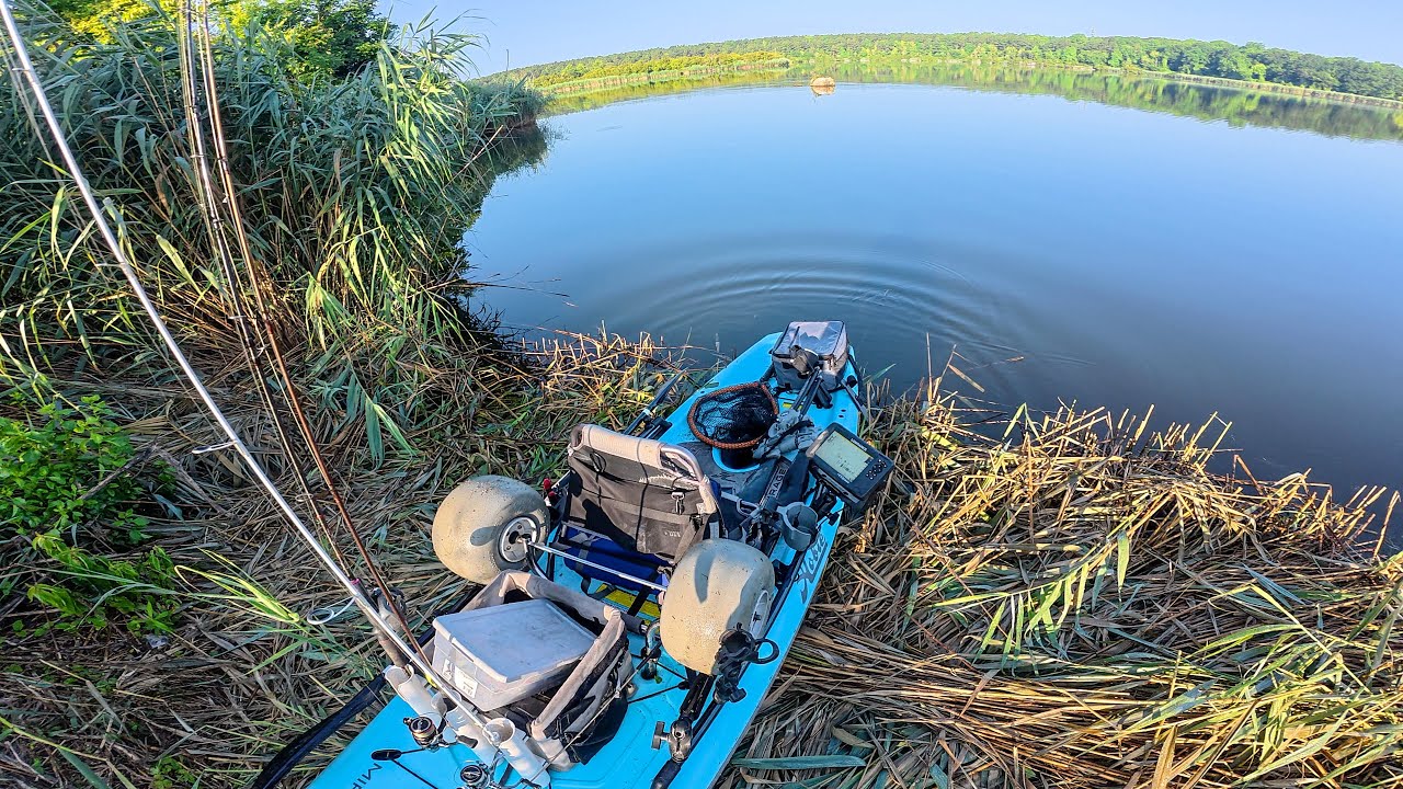 You Wouldn&rsquo;t Want To Fish Here | Where Salt Meets Freshwater River