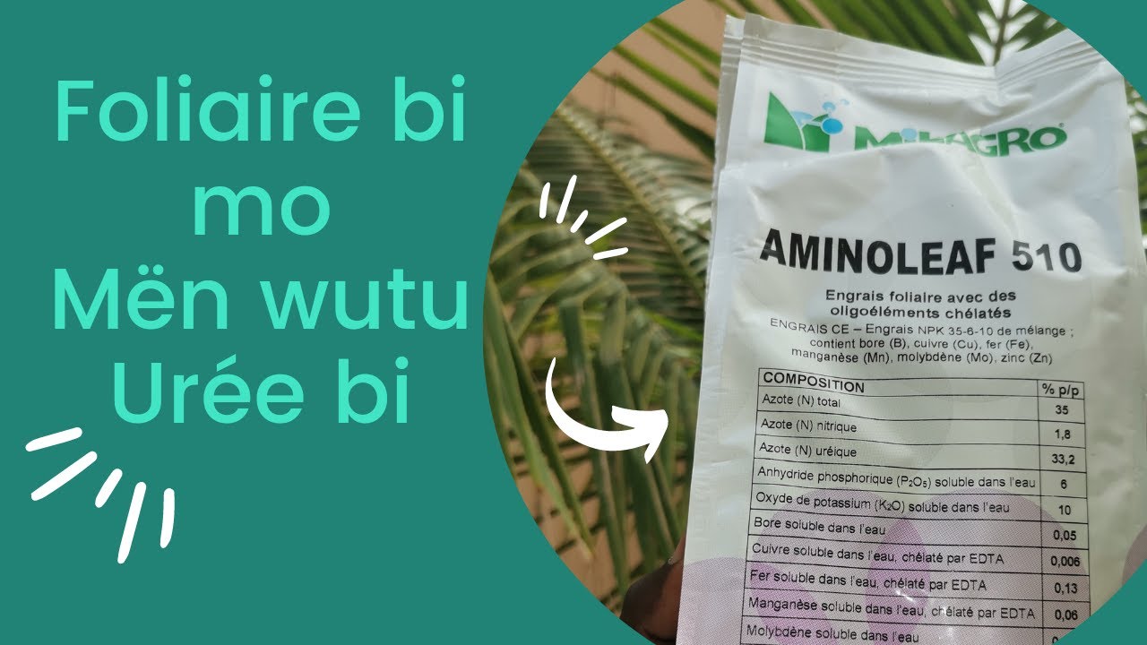 Engrais foliaire Aminoleaf 510 formule 35 6 10