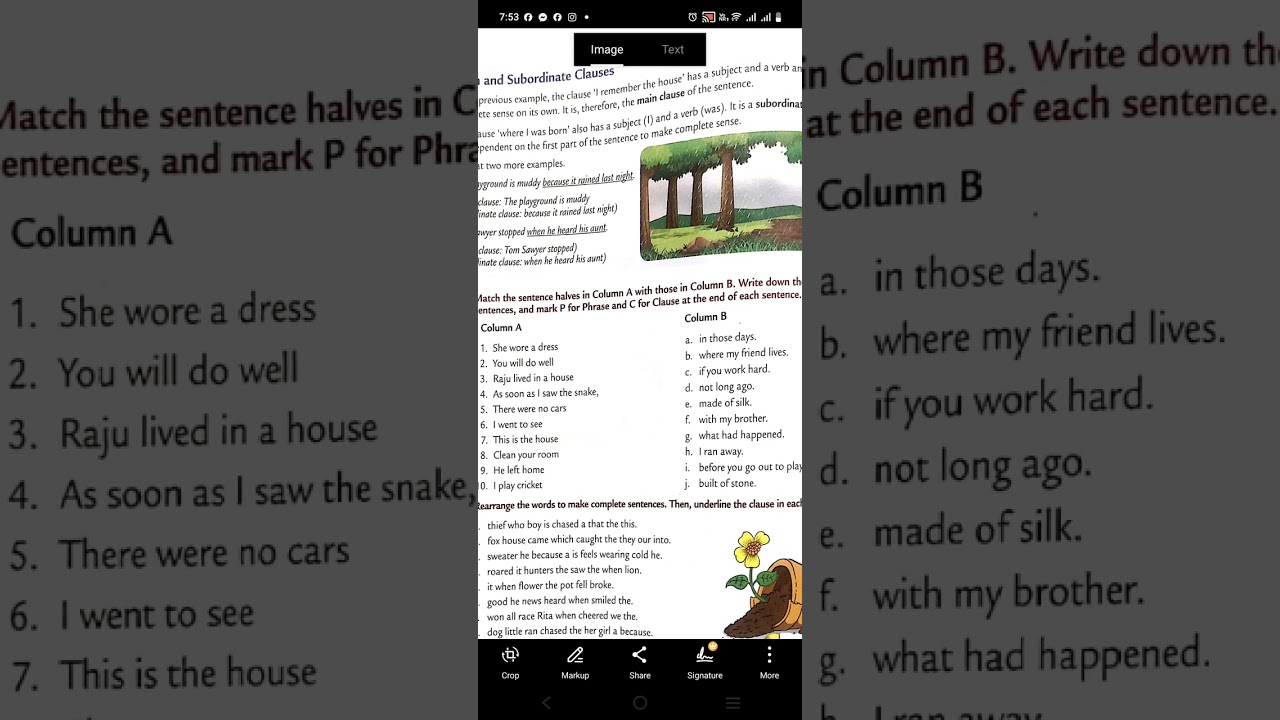 PHRASE AND CLAUSE CLASS5 FINAL