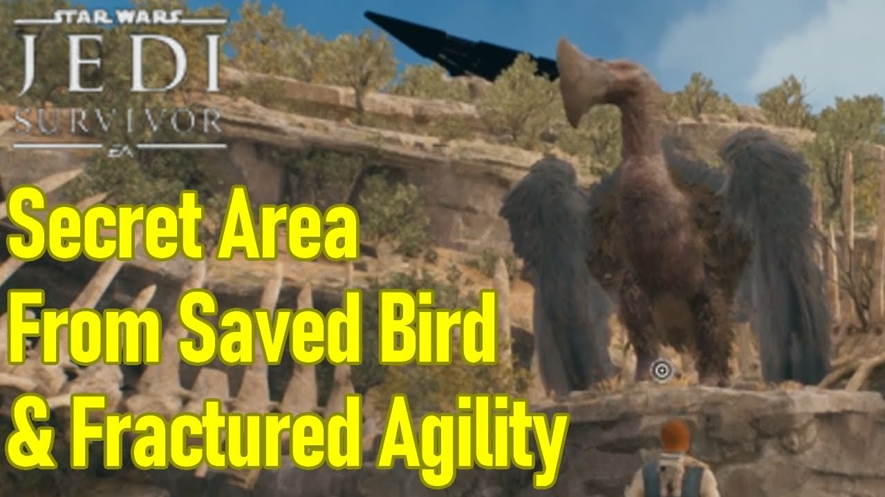 Star Wars Jedi Survivor SECRET AREA from bird you saved, fractured agility location guide