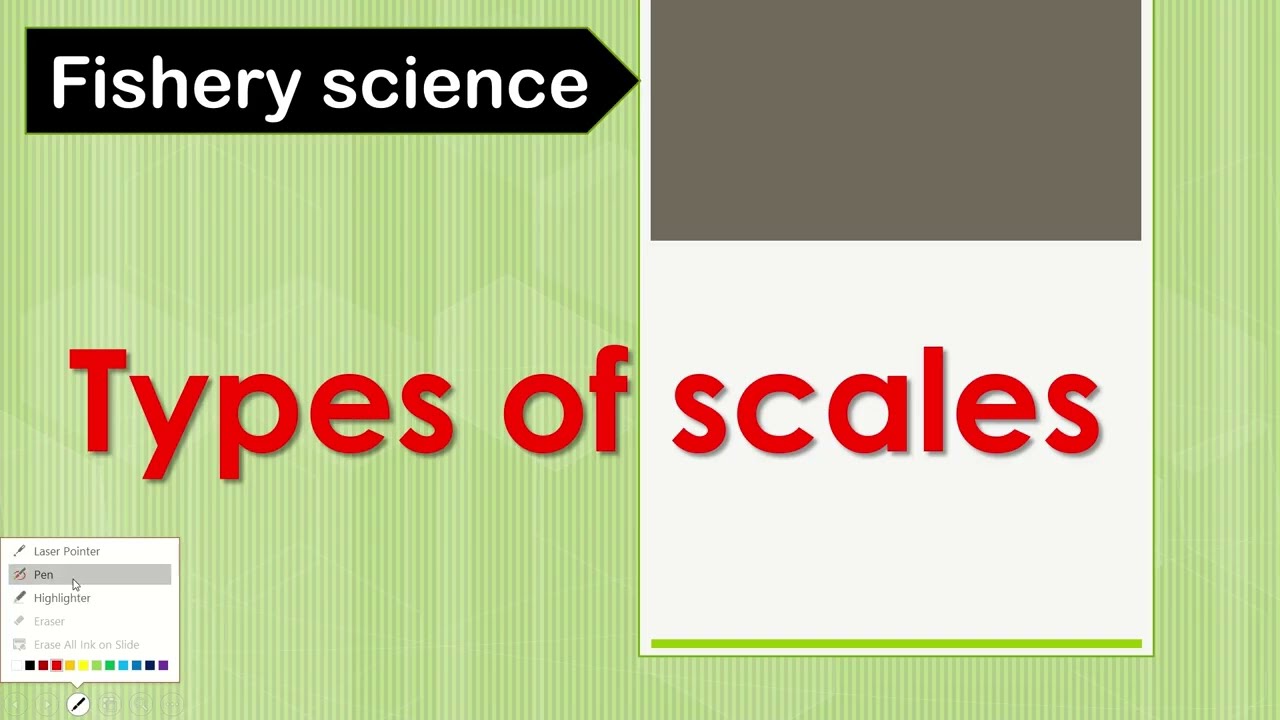 Scales | Fishery Science
