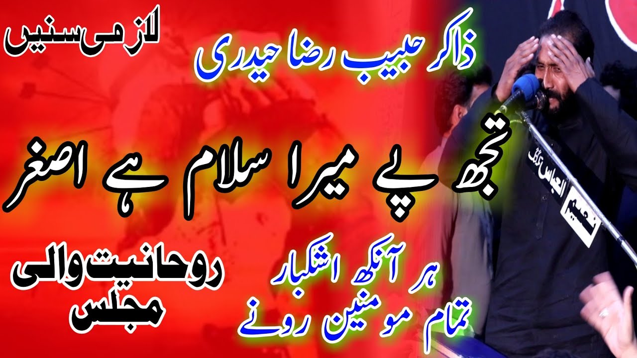 Shahadat Ali Asghar By Zakir Habib Raza Haideri 2021