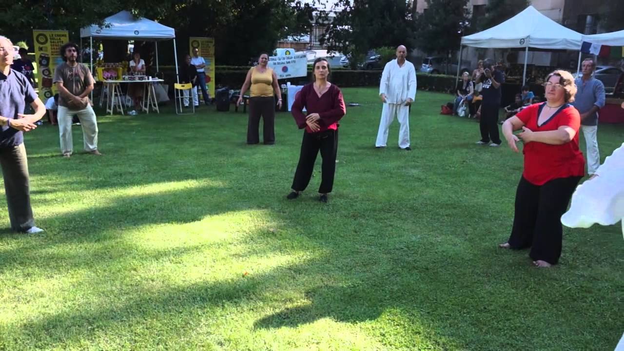 Salus 2014 Genova   Itcca Italia 24 Taoisti