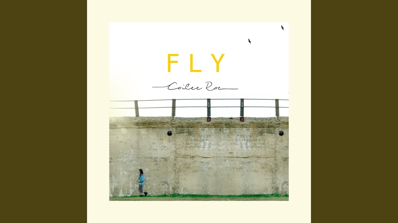 Fly
