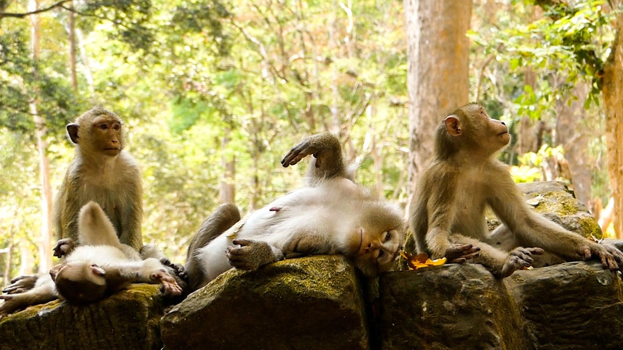 Soft wildlife vibe |THIS might be the best video I ever captured (Libby, Leo, Lily & Rainbow)