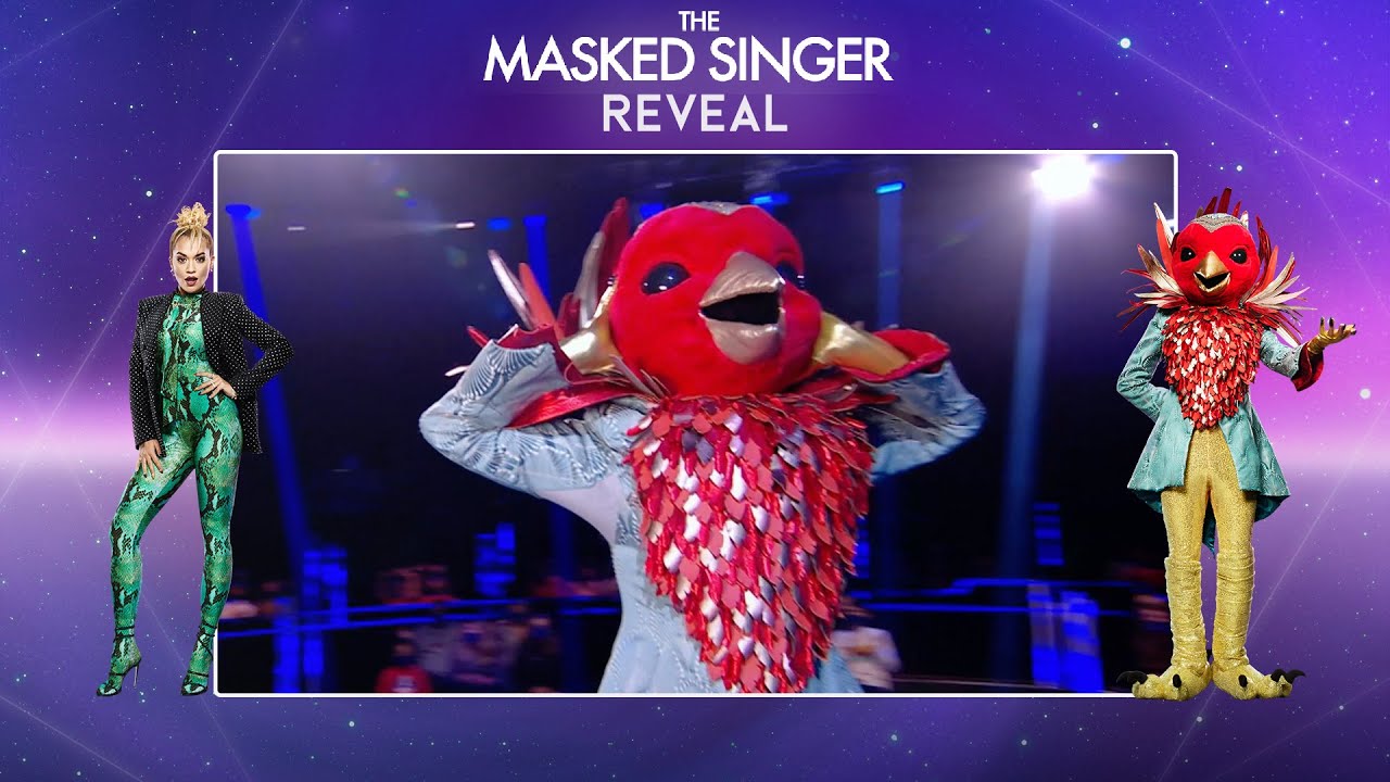 ASTON MERRYGOLD is Robin! | Season 2 Final Reveal | The Masked Singer UK