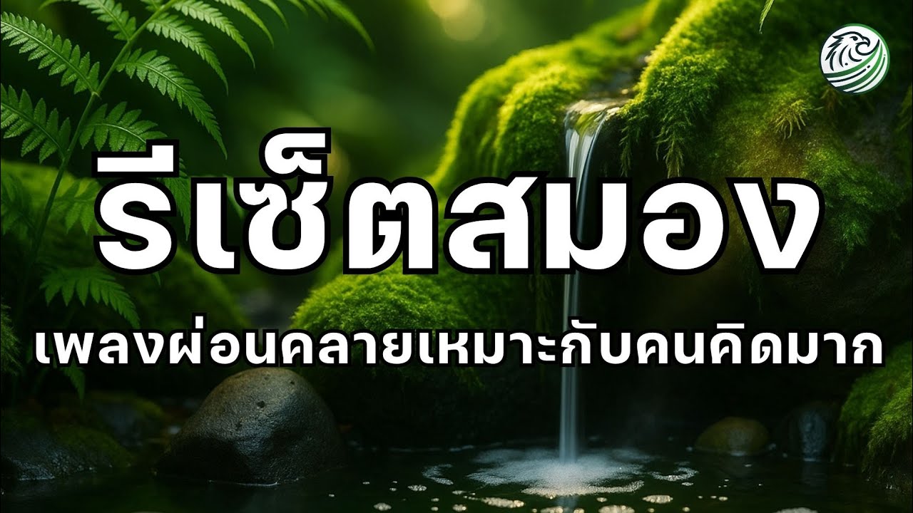 เพลงรีเซ็ตสมองยามเช้า เพลงผ่อนคลายยามเช้า เหมาะกับคนคิดมาก ปรับอารมณ์ให้สมดุลยามเช้า เพลงบำบัด 
