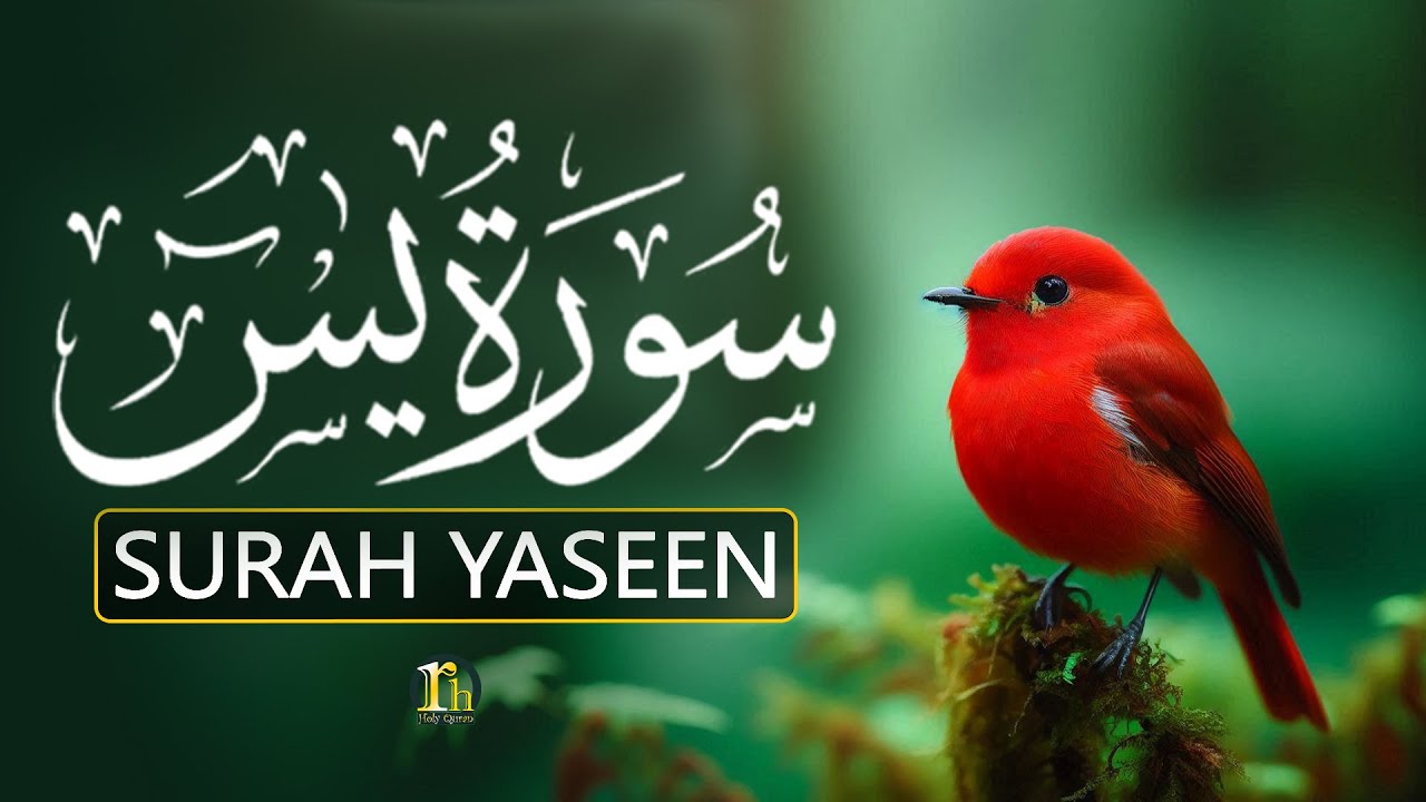 Surah Yasin سورۃ یس (Yaseen) Full | Calming Quran Recitation Full Of Healing Emotions