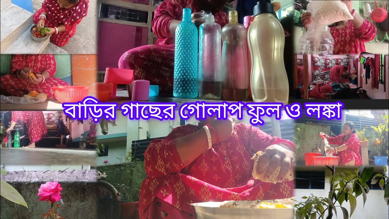 গ্রাম শহর বলে কিছু হয় না সব বাড়ির বৌদের সারাদিন পরিশ্রম করতে হয় তার পরেও হাসিমুখে থাকতে হয়#vlog#
