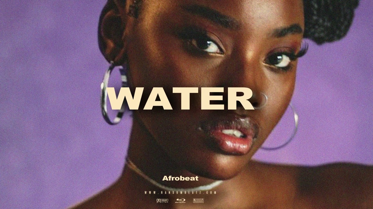 Tyla x Afrobeat Type Beat 