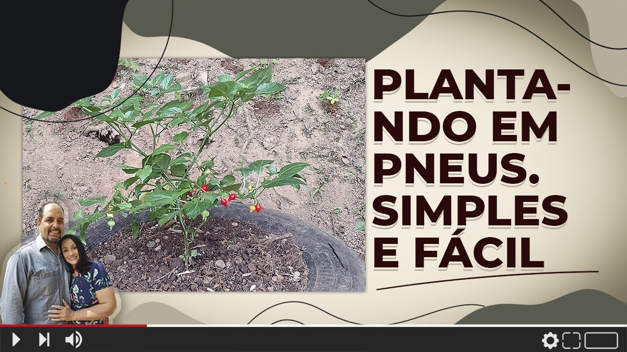 PLANTANDO EM PNEUS. SIMPLES E PRÁTICO! 🌳#001