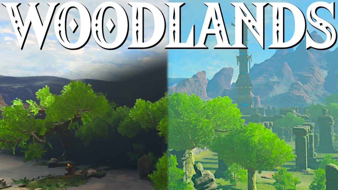 Woodlands BotW против TotK | СРАВНЕНИЯ HYRULE