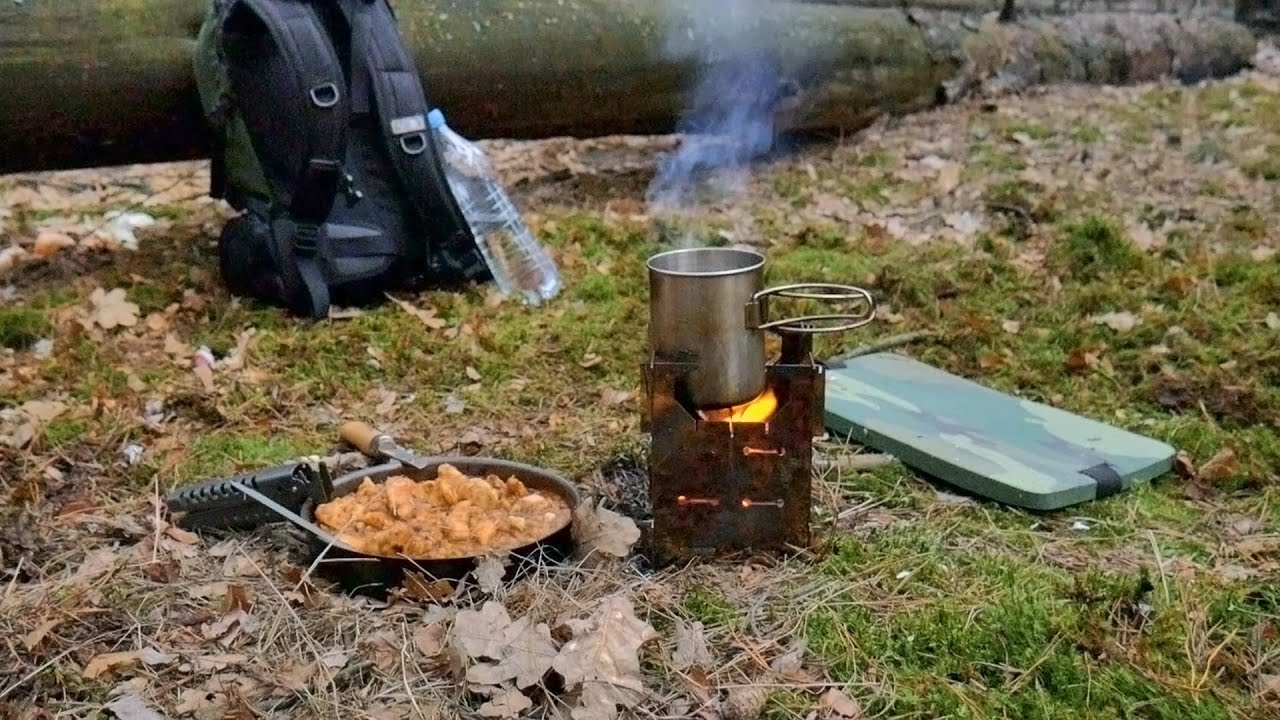 Лес - Клещ, Косули, Курица с фасолью