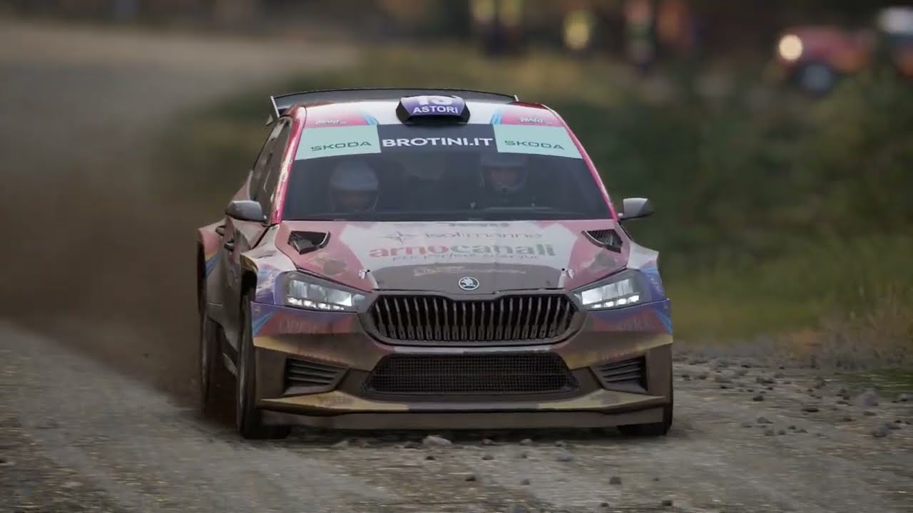 Assetto Corsa Rally - Afon Biga - Cwnbiga( Gales)  - 08 03 26