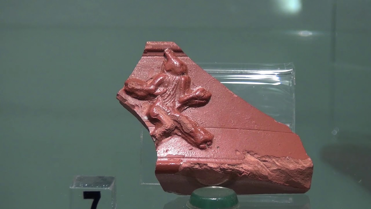 MUSEOARCHEOLOGICO PEGOGNAGA ENG 1