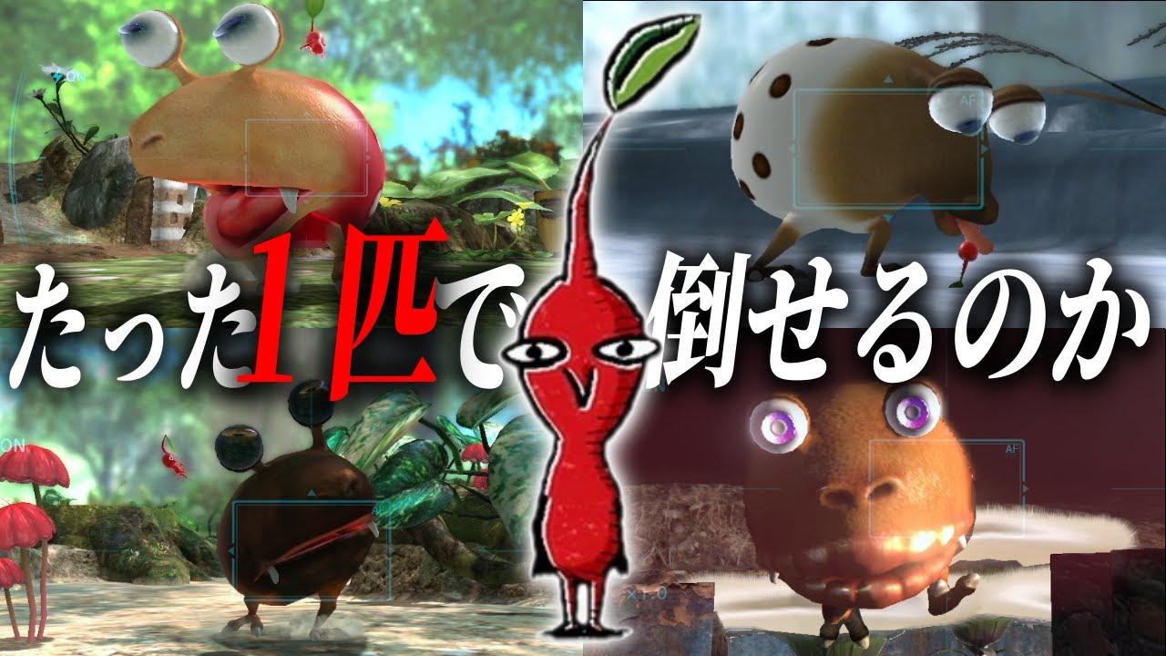 【ピクミン1匹チャレンジ】たった1匹のピクミンでもAllチャッピー倒せるのか 難易度ゲキカラ【ピクミン3デラックス】