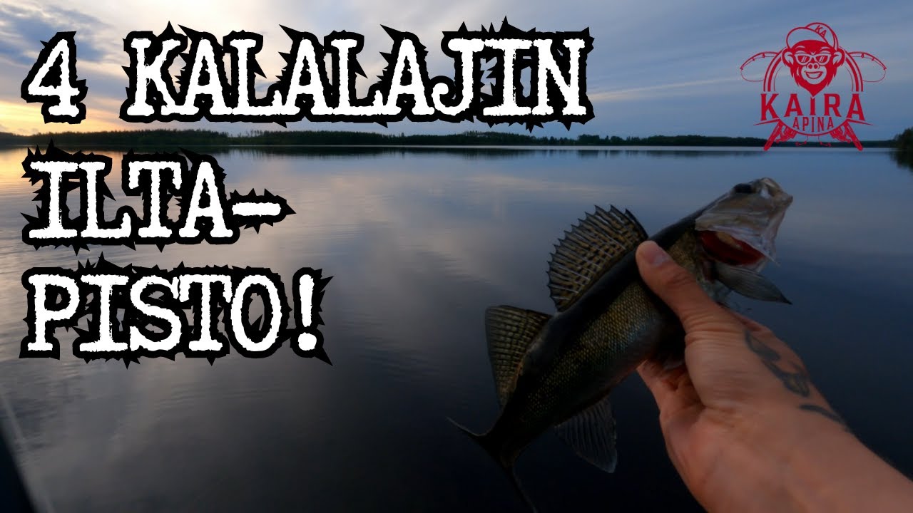 Neljän kalalajin iltapisto!