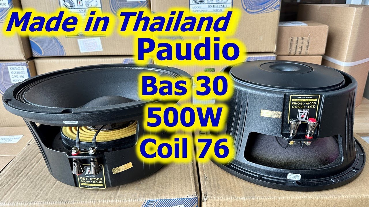 Bass full 30 - GST12500 - Paudio Thai Lan