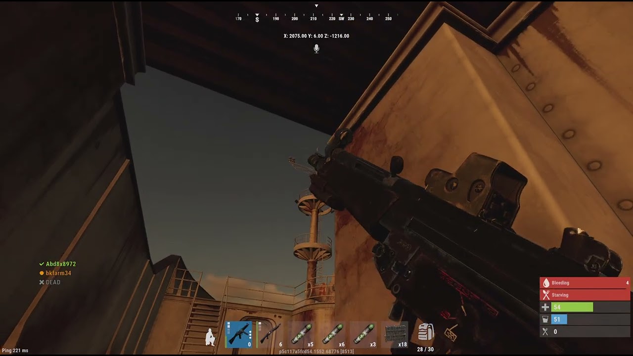 Rust_20260219175958