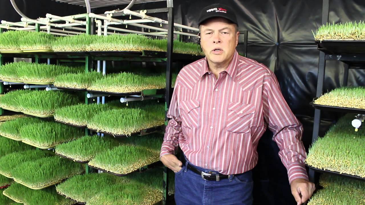EZ Grow Fodder Systems - Overview