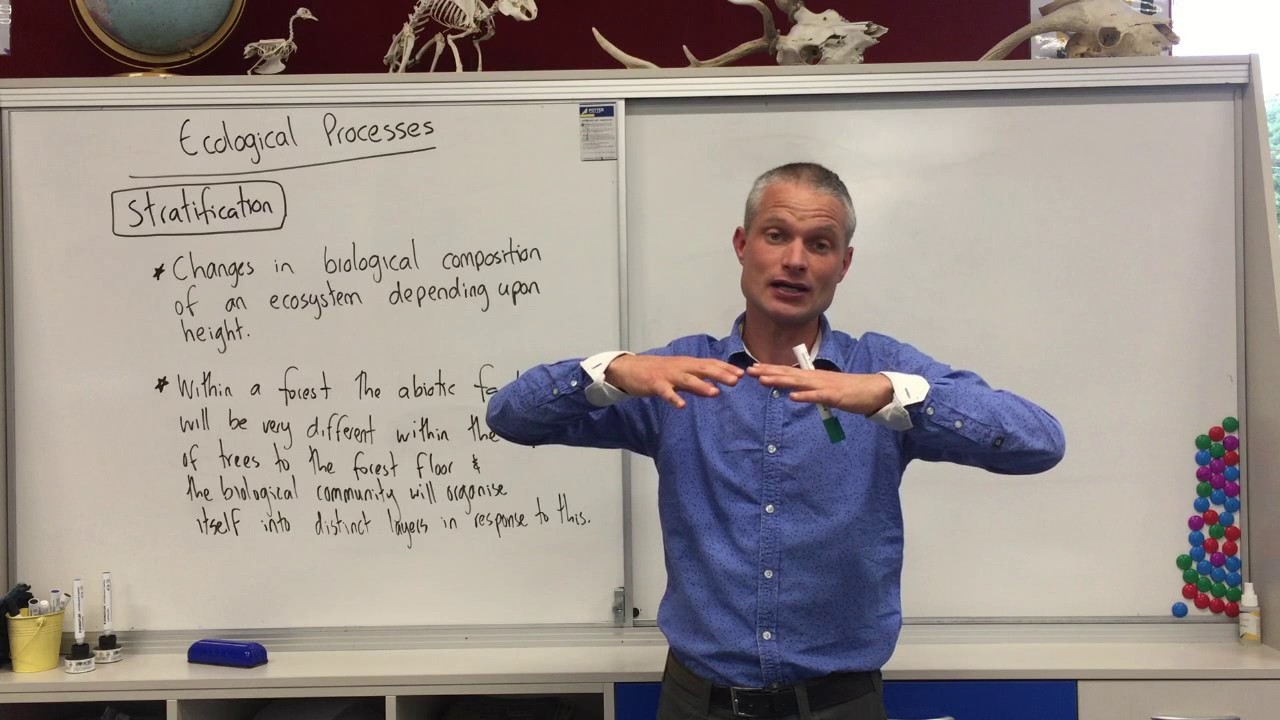 Ecological Processes