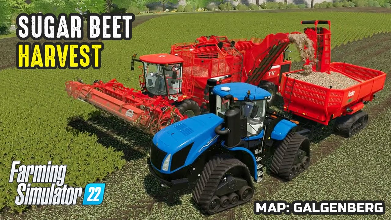 Sugar Beet Harvest with Holmer Terra Dos T4-40 | Farming Simulator 22