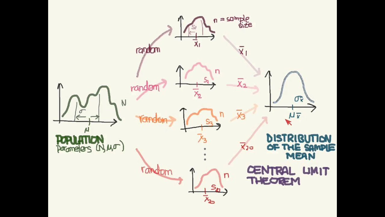 Distribution of the Sample Mean and the Central Limit Theorem