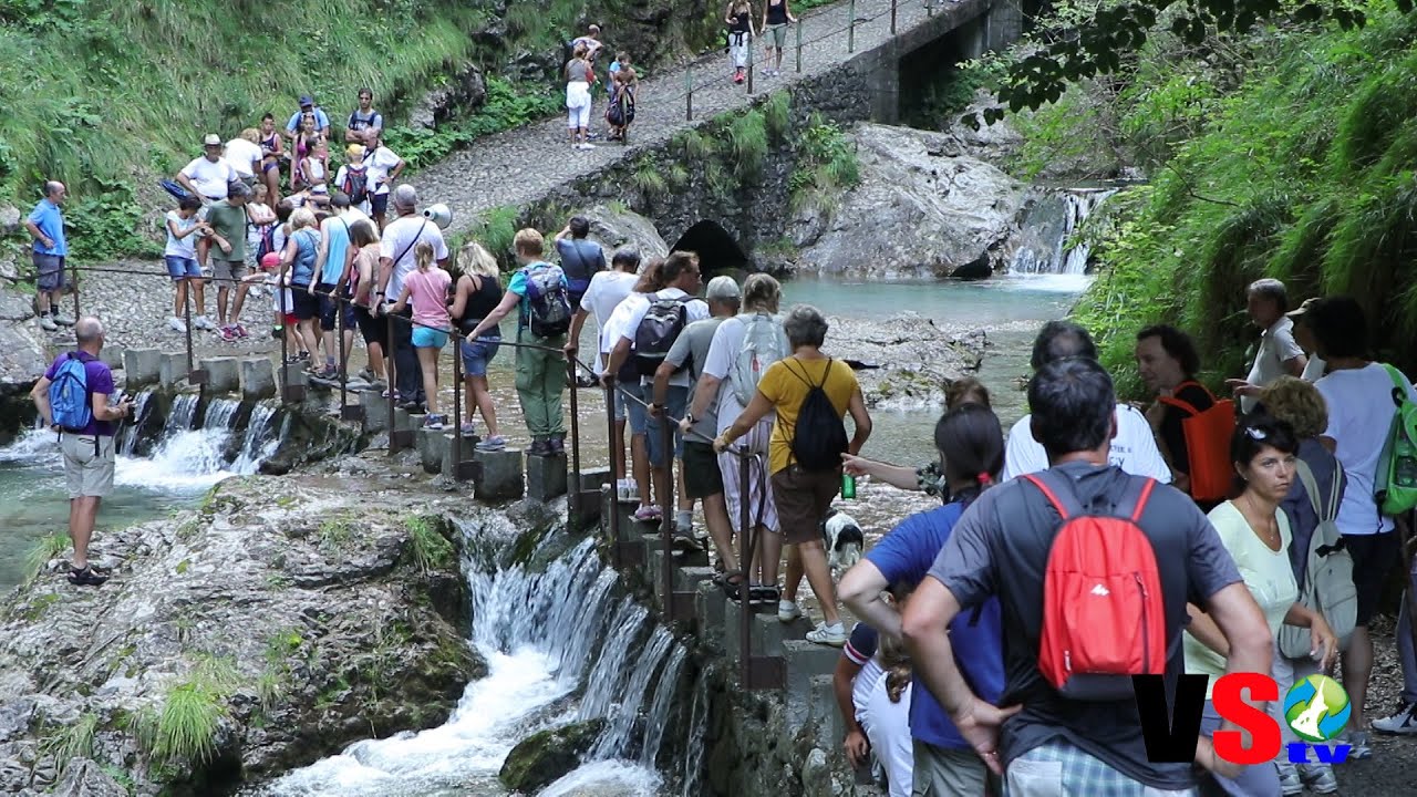 Val Vertova, in 150 alla camminata ecologica contro le centraline