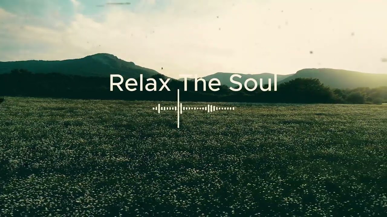 a playlist for a quiet morning  (spring version) | soft piano vibes