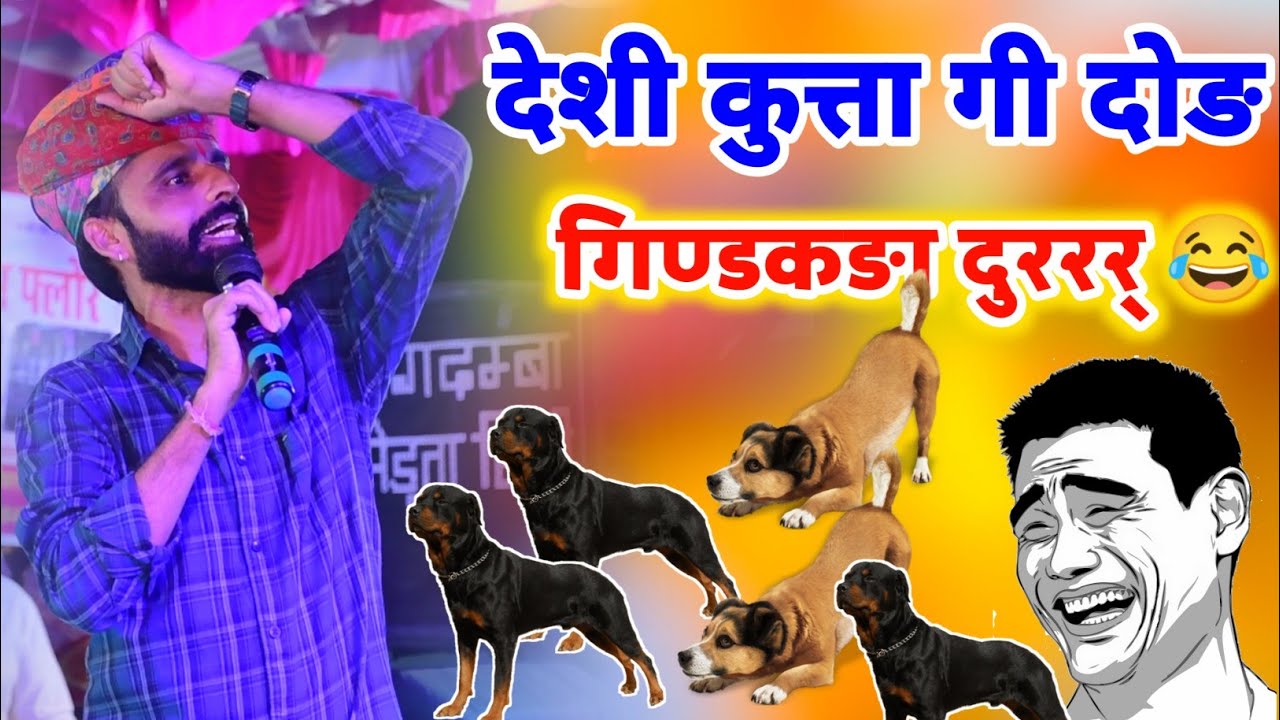 देशी कुत्ता दोङ में आया पहले नम्बर 