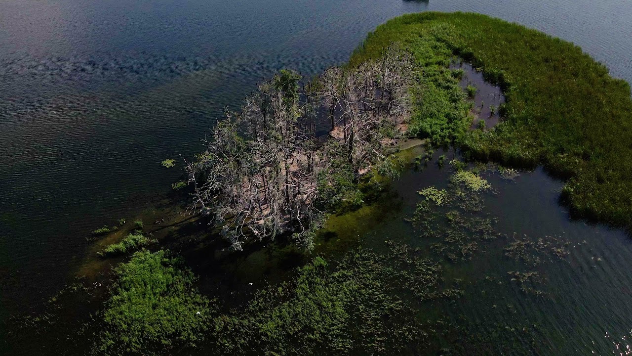 [Mavic Air 2] Mazury - Dargin - Kirsajty - Sztynort 2021