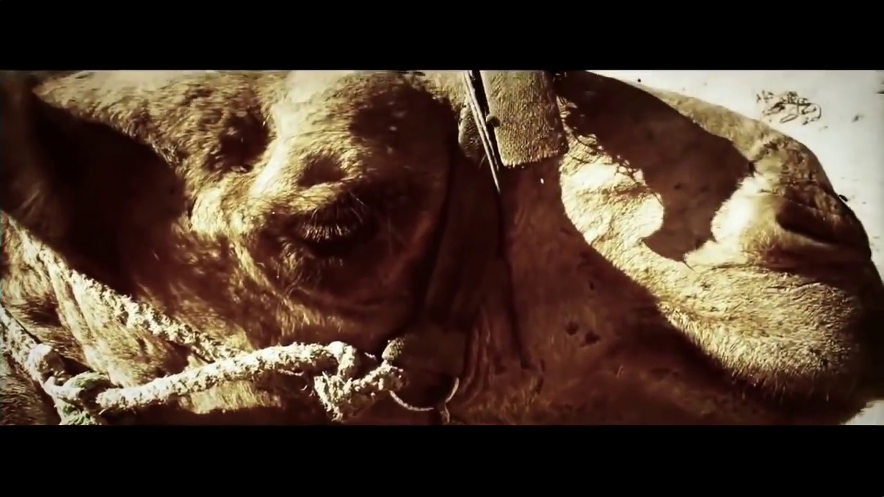 Verrückte Hunde - Foxn's 100 Rhymes Auf Amigakabel | Seize Beats Remix