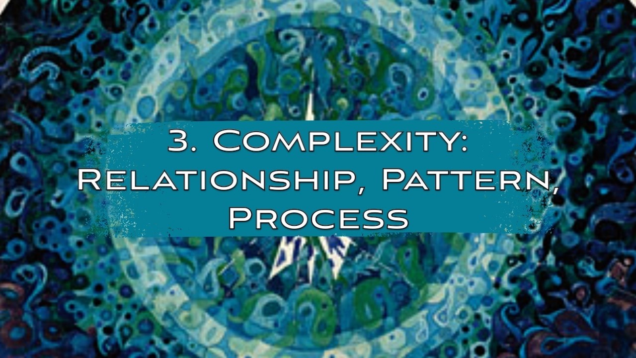 3. Complexity: Relationship, Pattern, Process