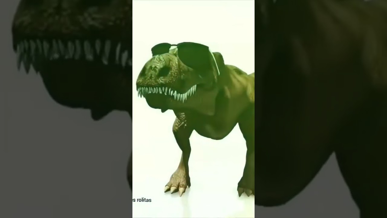 sopa de macaco sopa sopa de macaco