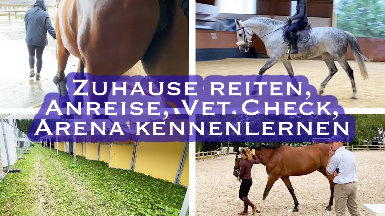 Anreise zum CSI3* Hof Waterkant | Weekly Vlog #61