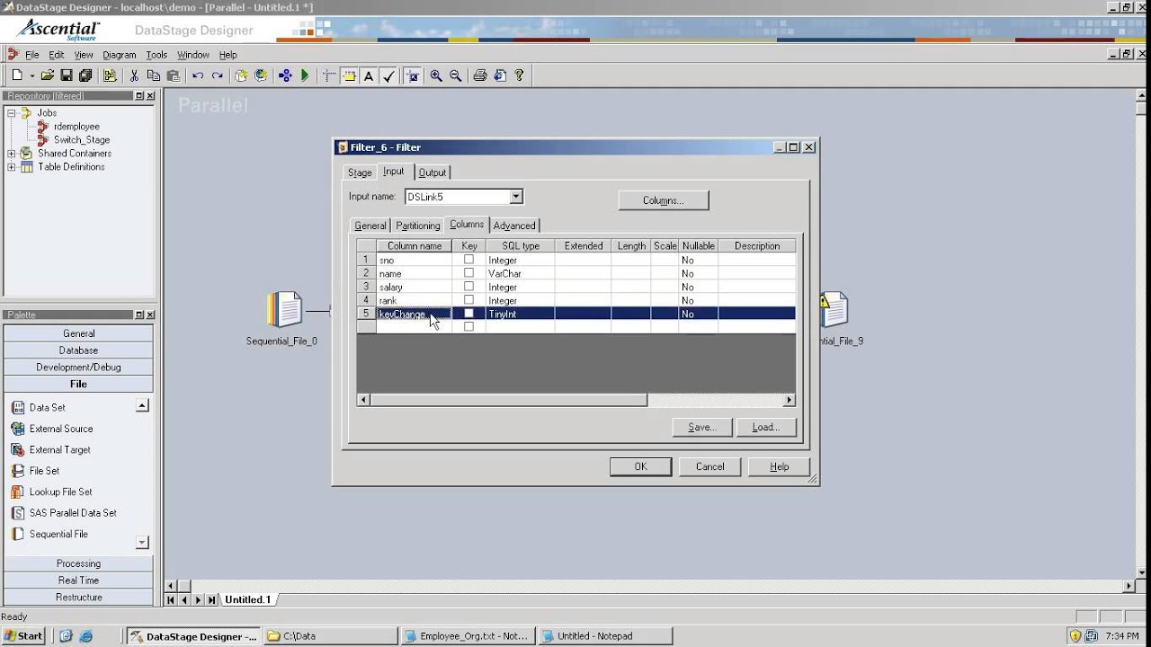 Capture Duplicate Records in DataStage - Job Design - 1