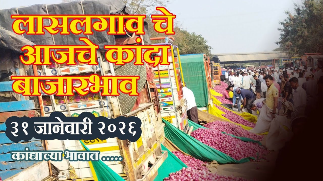 लासलगाव बाजार समिती आजचे कांदा बाजारभाव Lasalgaon Onion Market Rate Today 31 January 2026