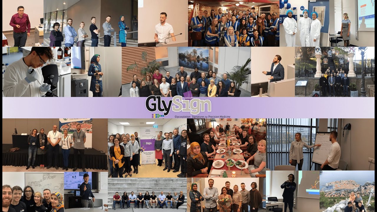 GlySign (2020) | European Union&rsquo;s Horizon 2020 research and innovation programme