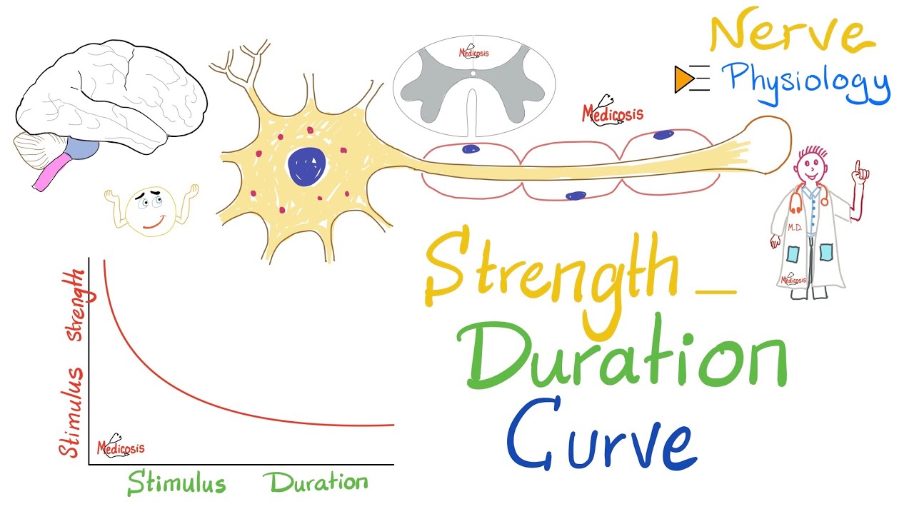 The Strength-Duration Curve | Nerve Physiology