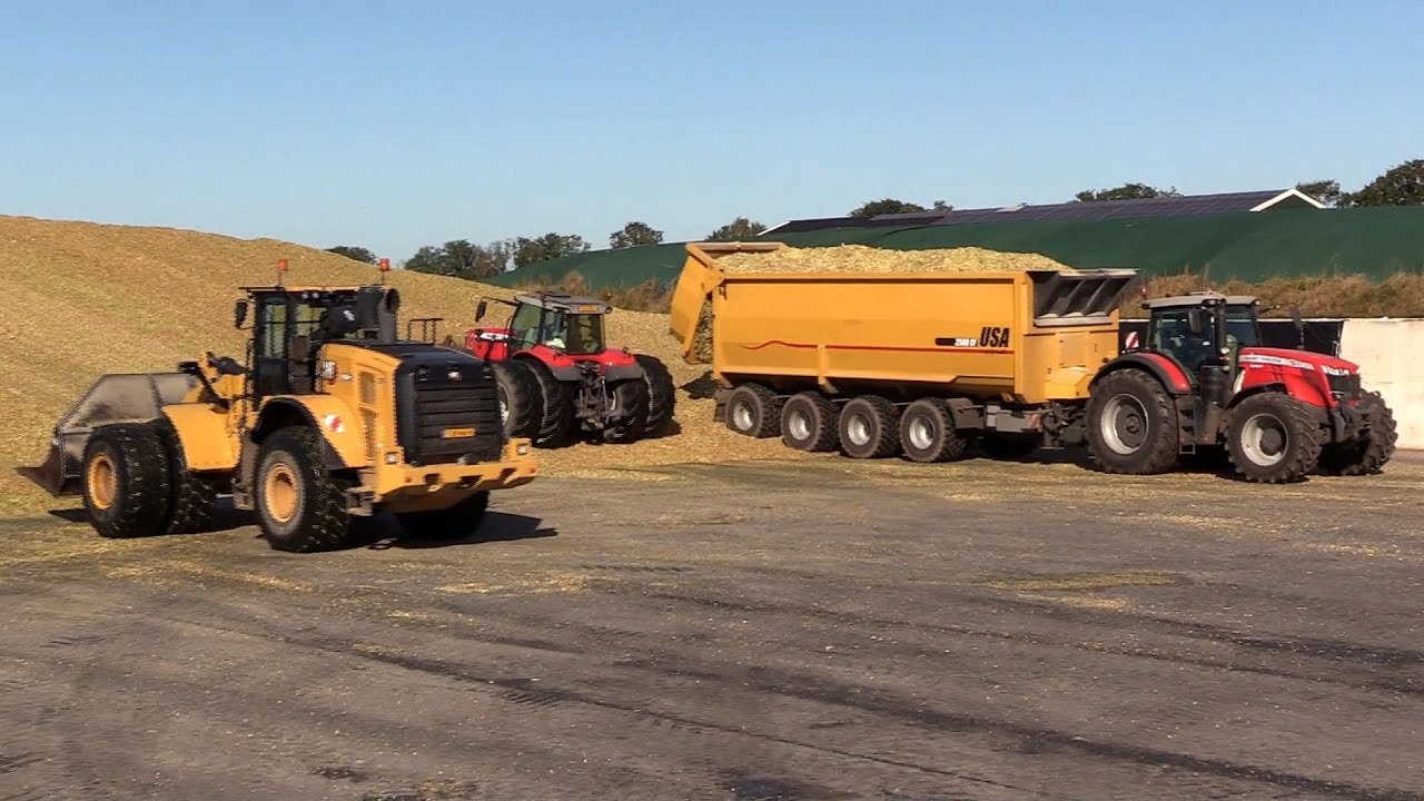 Maïs 2025 | Cat 966M | 3x4 asser USA Equipment | 4 asser USA voermengwagen | 9xMF | Van Bakel | Corn