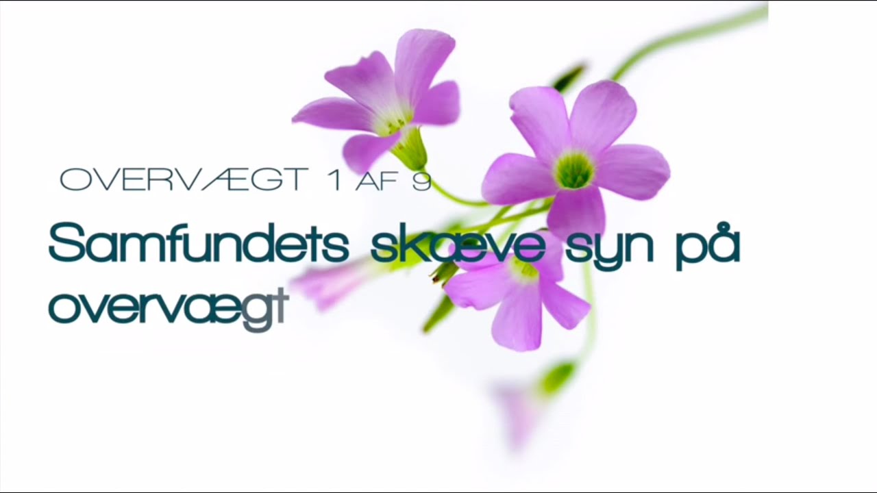 1 af 9 Samfundets sk&aelig;ve syn p&aring; overv&aelig;gt