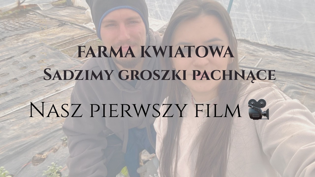 SADZIMY GROSZKI PACHNĄCE- FARMA KWIATOWA 🌸 Nasz pierwszy film 🎥